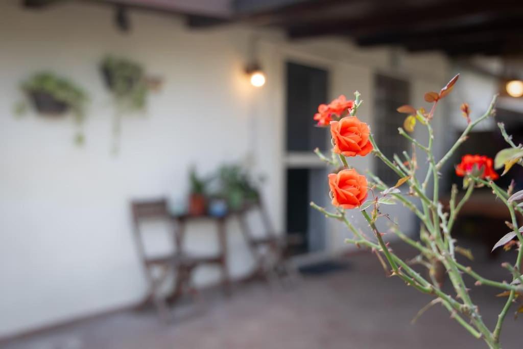 Casa Dantemini Casa Fiera Di Piana Del Solerm Fiumicino * Rom